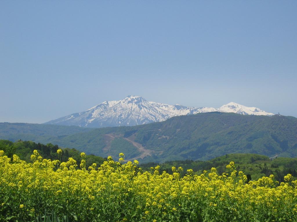 Marushige Nozawaonsen Exterior foto